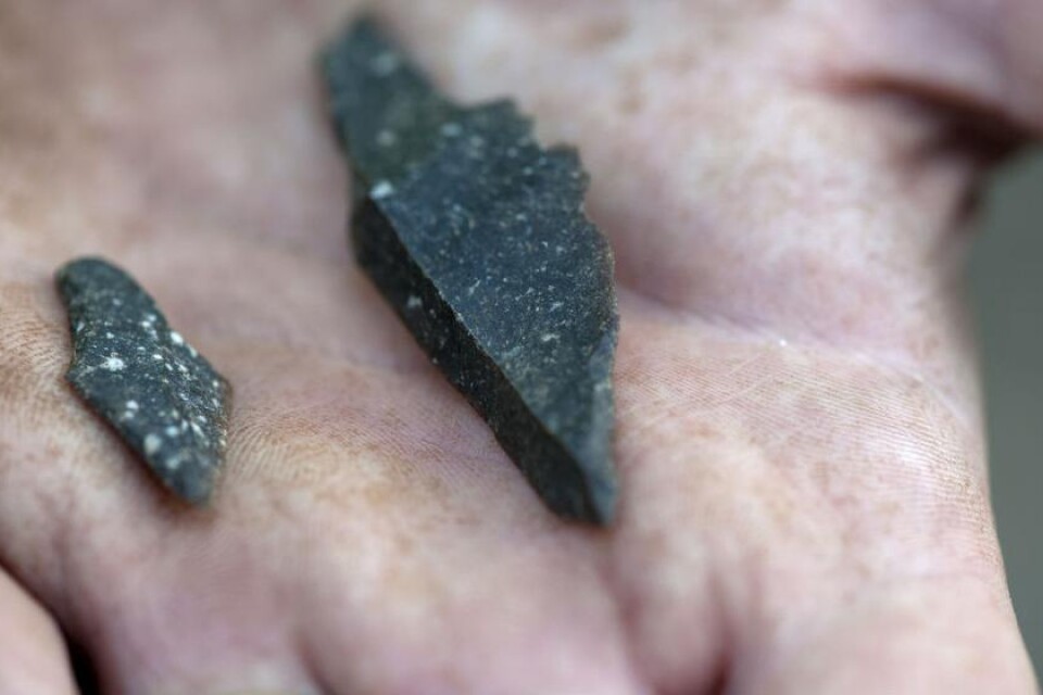 Pilspetsar. Här är två av de eneggade tångpilspetsar som hittats i utgrävningarna. Kanske fälldes en ren eller en säl med dessa för 12 000 år sedan.