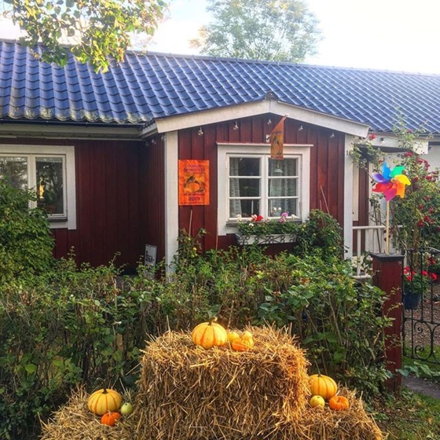ingerwedebergNu är det skördefest!! Välkomna till oss-Antikt&Foto&Loppis på Bygatan i Kastlösa! (4 bilder)