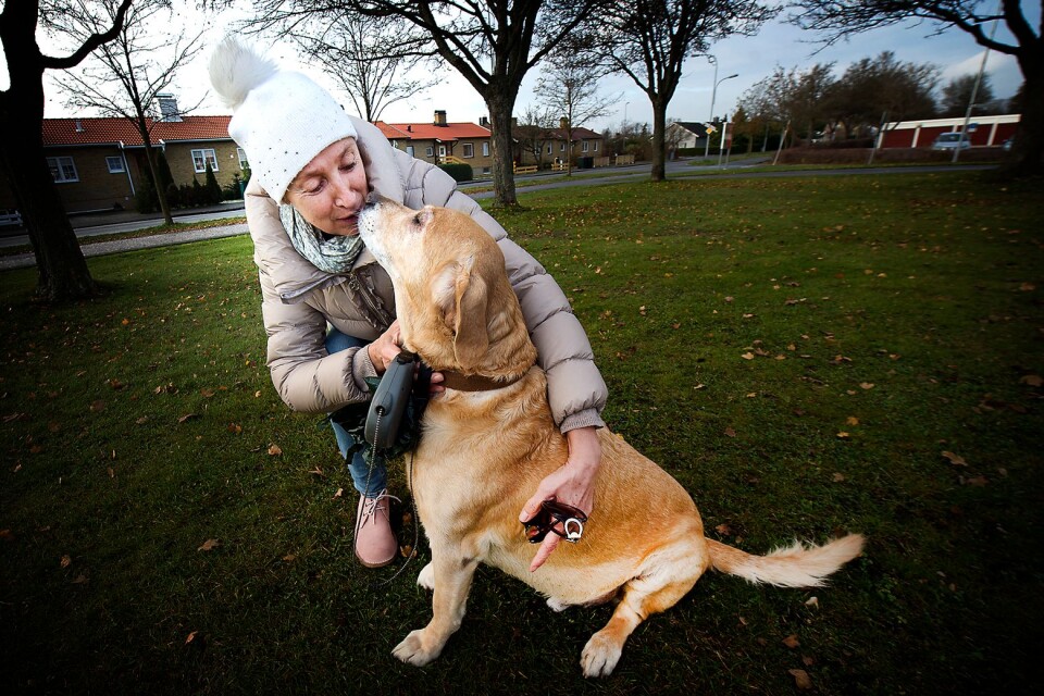 Förra året träffade Kb Mosaik Margareta med labradoren Bubba, då åtta år, en snäll hund men som är livrädd för nyårssmällare. ”Alla som har hund tycker mycket illa om smällare och raketer”, säger hon, en av 880 000 hundägare i Sverige.