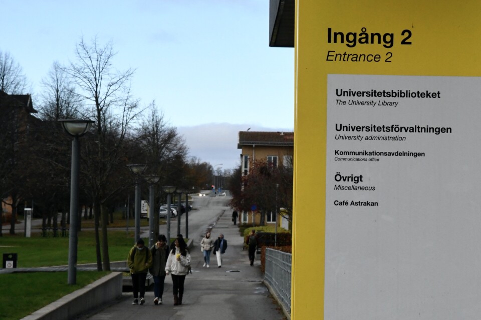 Linnéuniversitetet i Växjö, genrebild