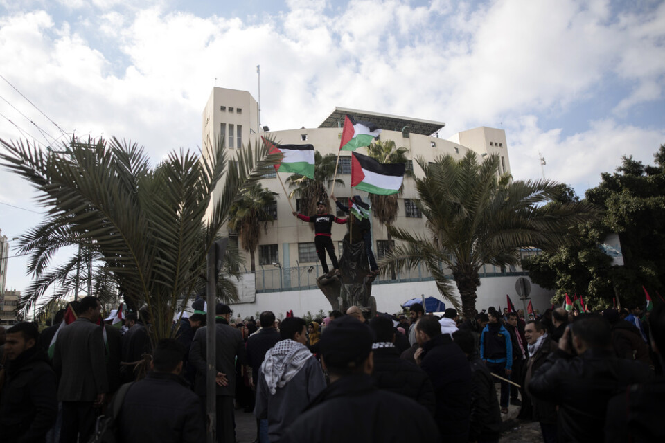 Palestinier i Gaza stad viftar med flaggor under en protest mot USA:s plan för fred i Mellanöstern.