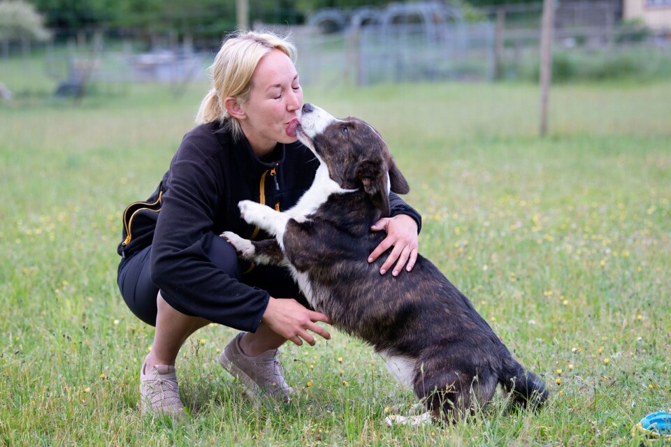 Mimi Jönsson håller i flera hundkurser. Här tillsammans med hunden Nisse.