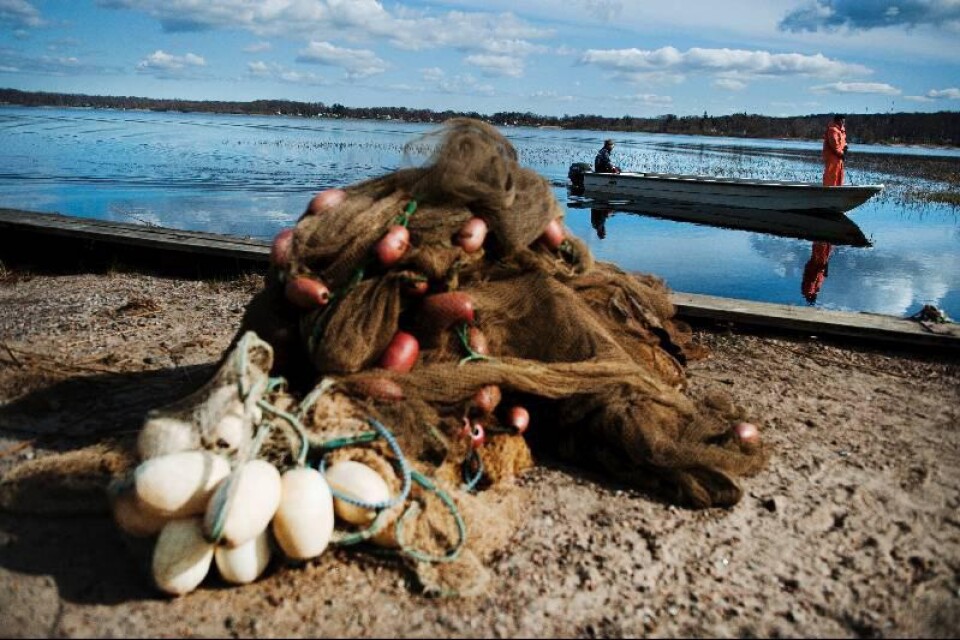 Ett fiskevårdsprojekt i Finjasjön och Bosarpasjön ska på ett mer kostnadseffektivt sätt minska mängden vitfisk utan att skada rovfisken.