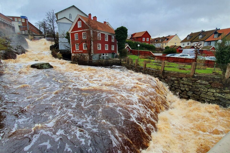 Vattenmängderna i Ronnebyån har nått rekordnivåer under tisdagen.