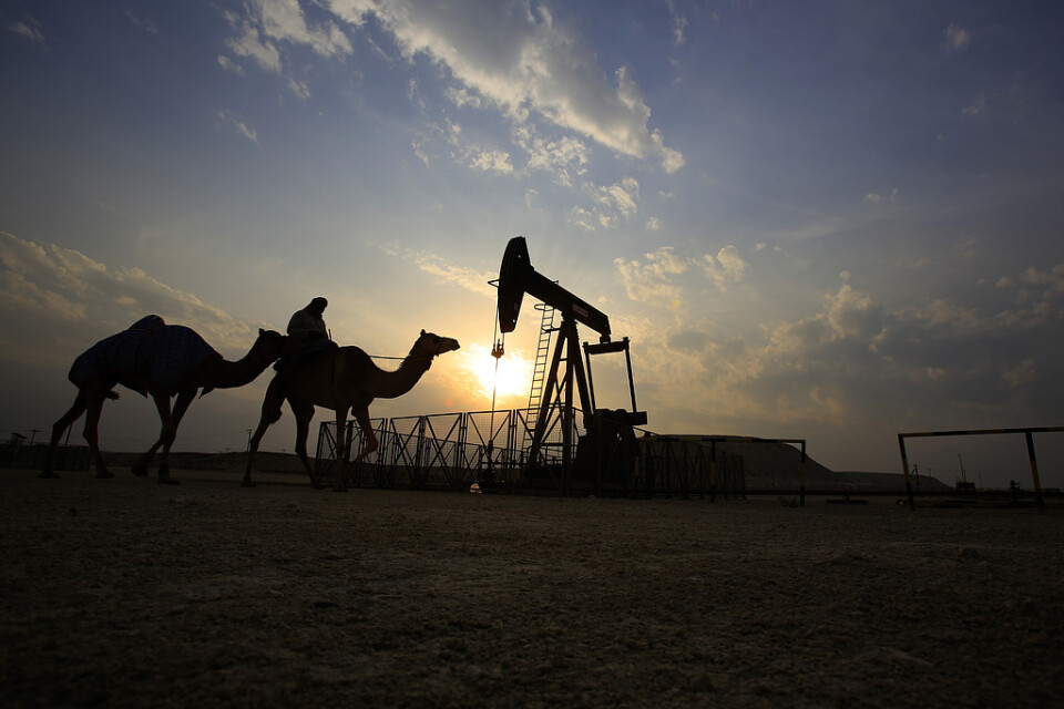 Oljepriset steg efter att Ryssland enats med Saudiarabien och Irak om att begränsa produktionen. Arkivbild.