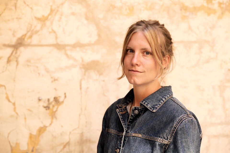 Svensk-danska författaren Emeli Bergman nominerades till Borås Tidnings debutantpris  2018 för novellsamlingen ”Salt”.