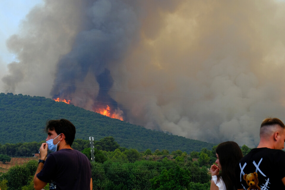 I Mijas, några mil från Málaga i Spanien, pågår en omfattande brand som tvingat över 3|000 människor att lämna sina hem.
