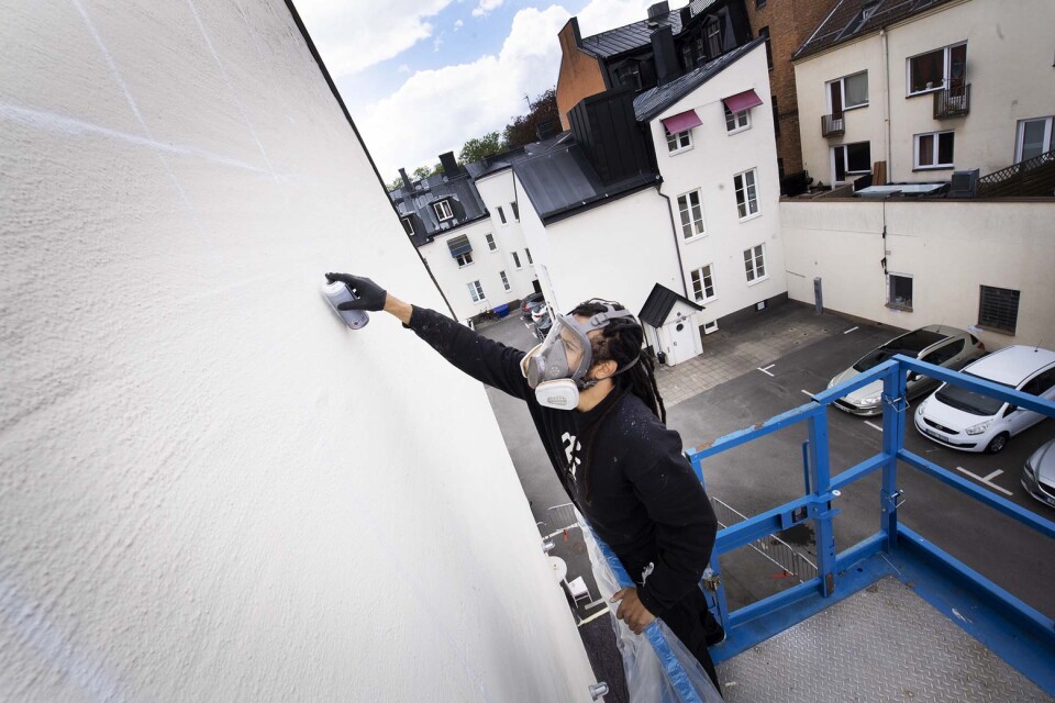 Kim Demåne has spent about 70 hours on the mural.