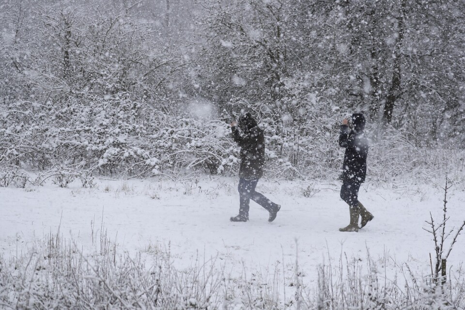 SMHI har uträttat varningar för snöfall i Norrbotten. Arkivbild.