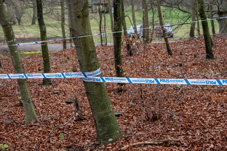 En kvinna i 30-årsåldern hittades förra hösten mördad och nedgrävd i en grop i skogen i Svedala kommun. Arkivbild.