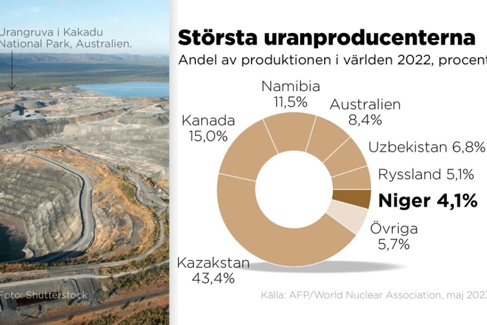 Diagrammet visar hur stor del av världsproduktionen av uran de största producenterna står för.