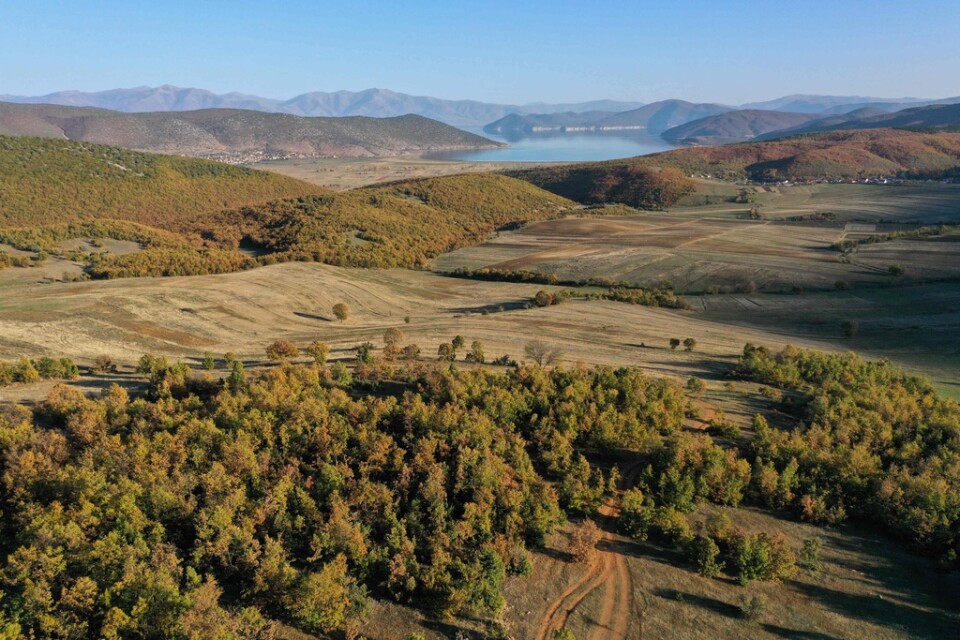 Flygfoto över nationalparken Prespa, nära Korce i sydöstra Albanien, där ett fåtal Balkanlodjur tros leva. Bilden är tagen i november 2022.