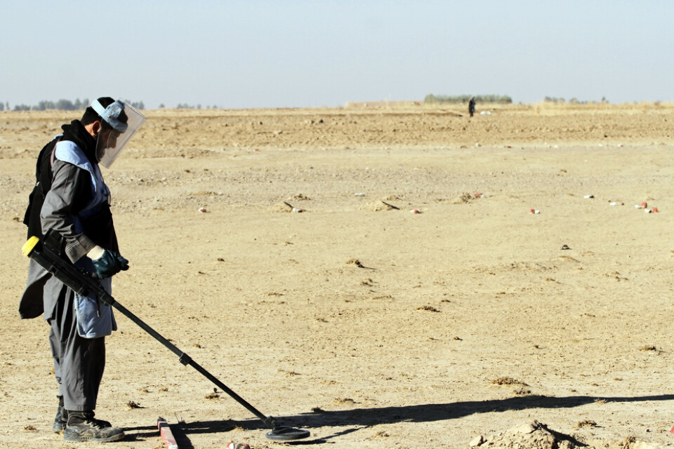 Eftersökning av landminor i Afghanistan. Arkivbild.