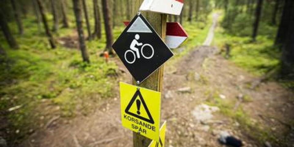 Ulricehamn har blivit en mountainbikedestination med leder som fått mycket beröm i cykelkretsar.