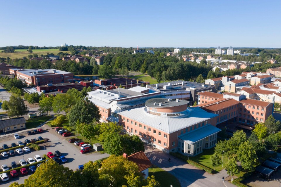 Delar av campus av Linnèuniversitetet i Växjö.