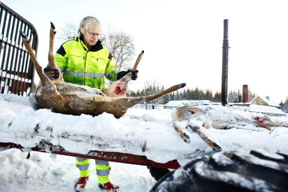 Det är hos skogsbonden Jonny Hallberg i Lilla Fagrared som djuren skjutits.