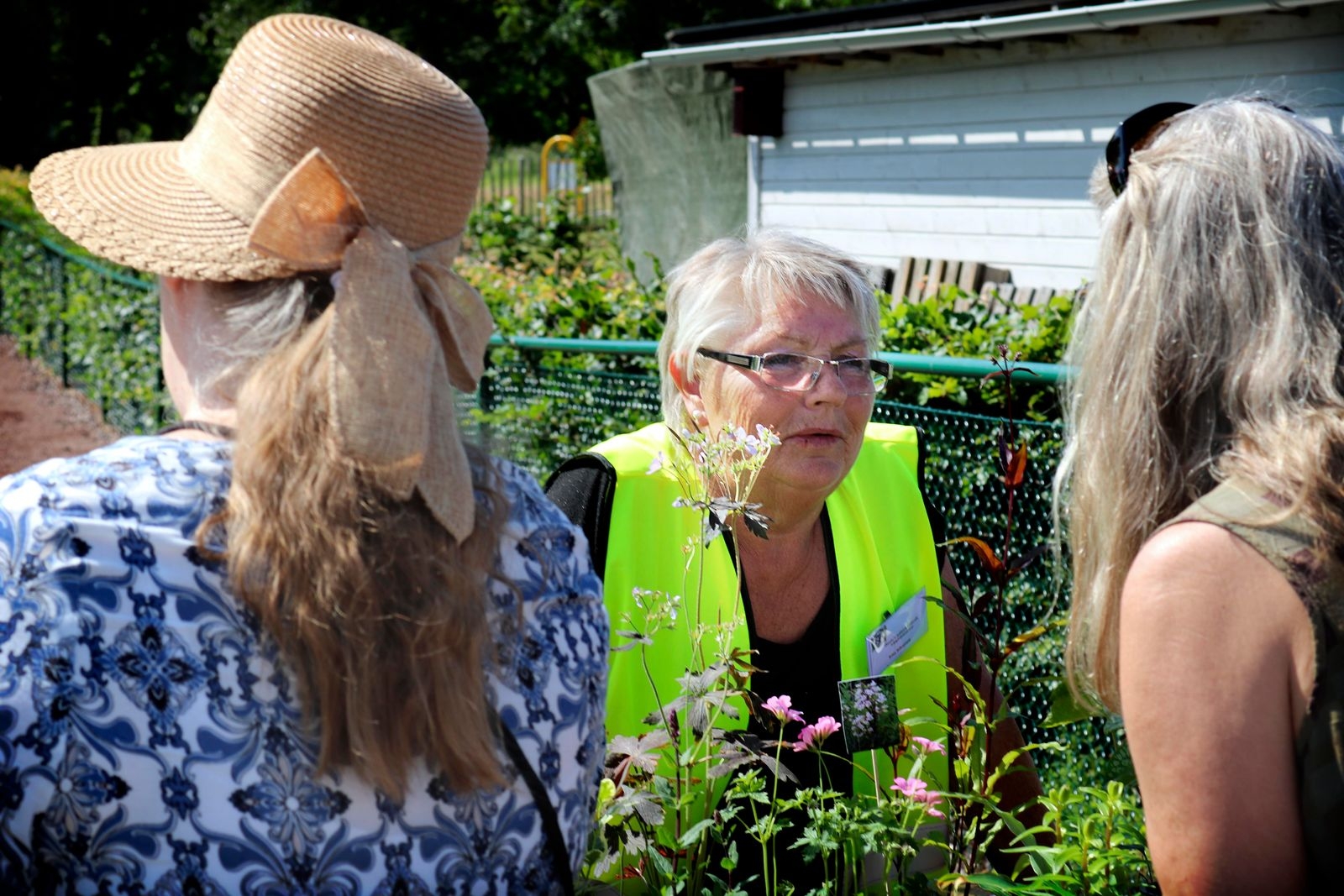 – Vi är en förening som älskar växter. Perenner framför allt, säger Irma Johansson, ordförande för Öland och sydöstra Smålands trädgårdsamatörer.