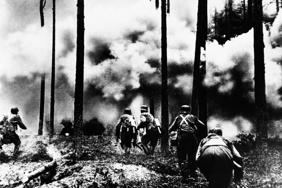 Tysk-finska styrkor avancerar genom en brinnande skog vid den ryska gränsen i norr, tre månader efter det att Tyskland inlett Operation Barbarossa mot Sovjetunionen 1941. Arkivbild.