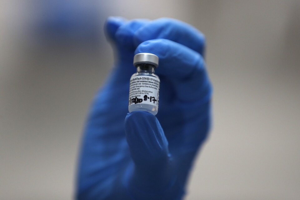 En dos av Pfizer/Biontechs covid-19-vaccin. Arkivbild.
