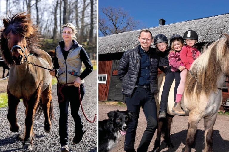 Barnfamiljen som lever på sin starka passion för hästar