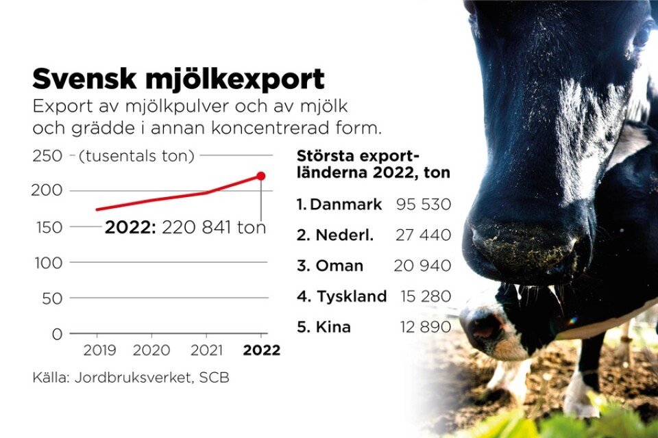Export av mjölkpulver och av mjölkoch grädde i annan koncentrerad form ökar. I takt med att svenska konsumenter i hög grad väljer importerad ost, blir pulverexporten desto viktigare för mejerier och lantbrukare.