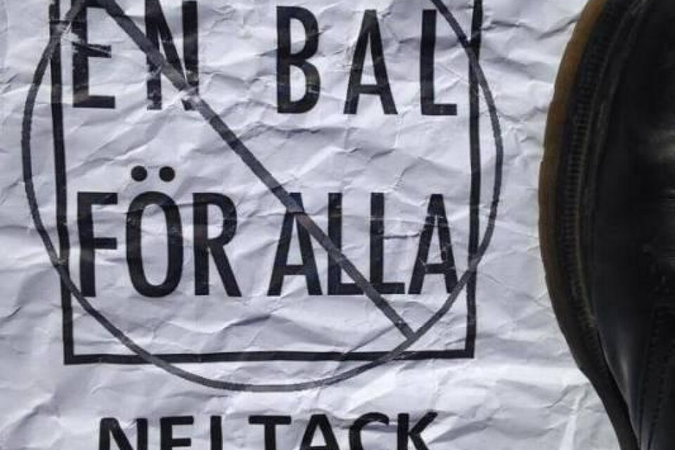 Affischer mot Facebookgruppen ”En bal för alla” har satts upp. Några elever bakom gruppen har fått utstå påhopp och kränkande kommentarer på grund av sitt engagemang för en jämställd bal.