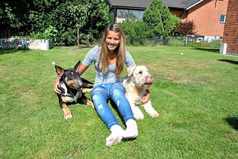 Annie Ribba med hundarna Kimbo och Cesar. Foto: Marie Strömberg Andersson
