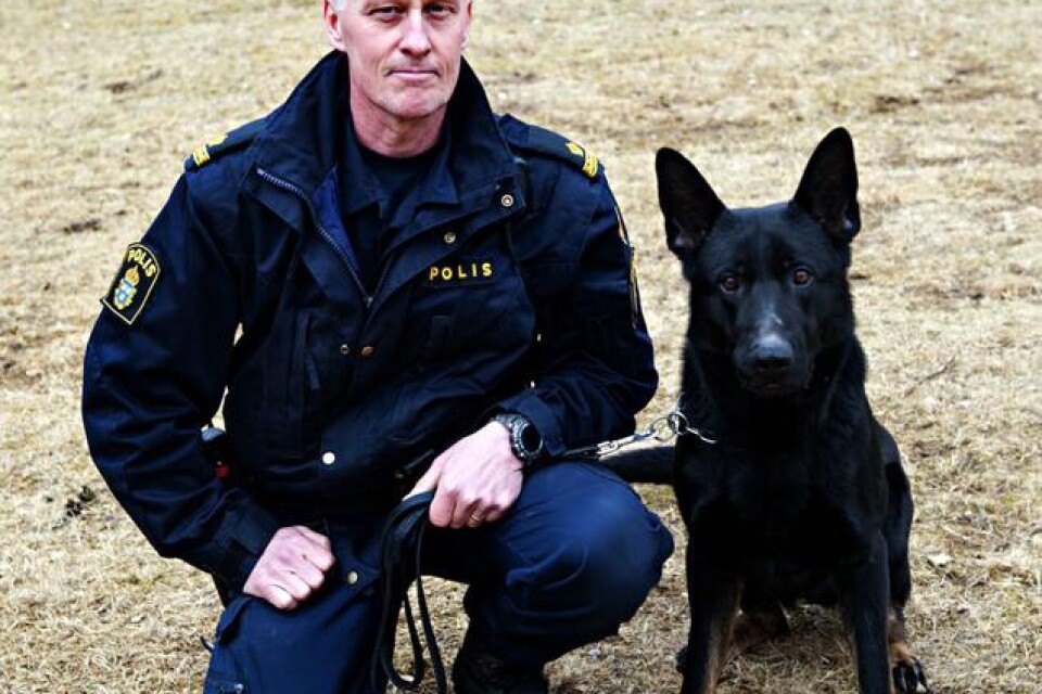 Försvarsmaktens Defense: 4 år, schäfer, patrull- och brandhund. Hundförare är Anders Johansson.