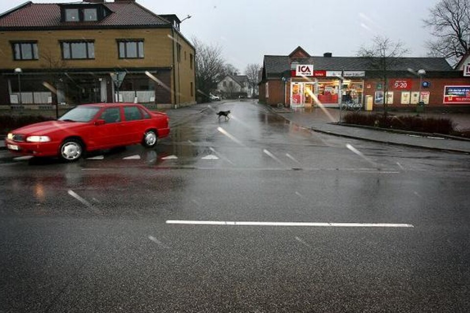 794 personer bor i Vollsjö i dag.