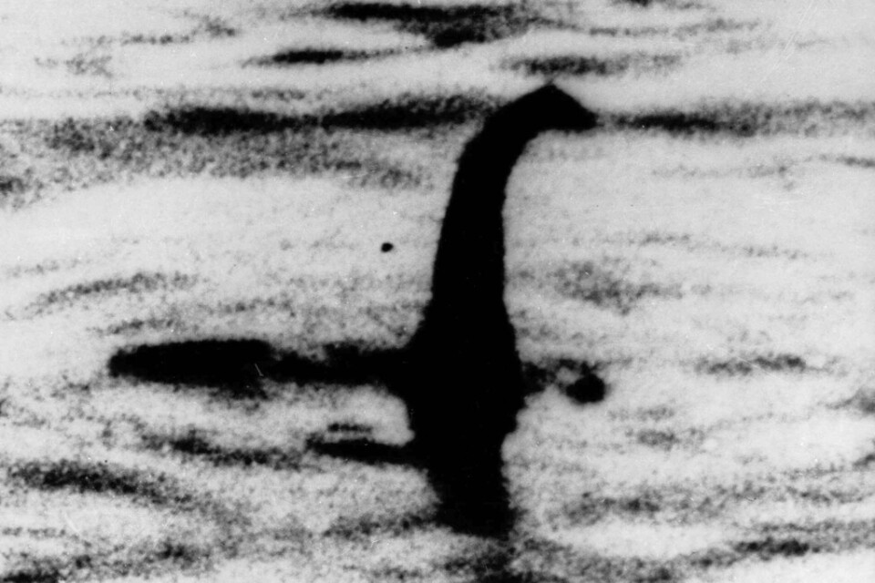 Det suddiga fotot som länge påstods föreställa Loch Ness-odjuret i Skottland avslöjades senare vara en bluff. Men nu hoppas landets turistindustri få en skjuts med den största monsterjakten efter odjuret sedan 1972. Arkivbild.