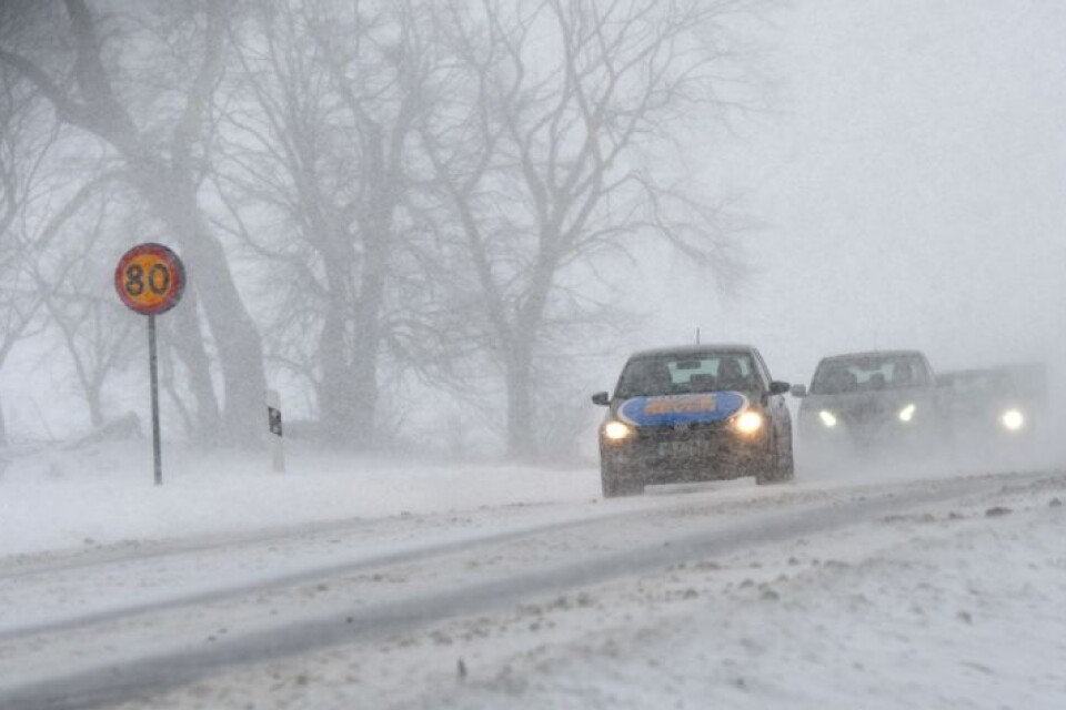 Det snöade kraftigt i Blekinges på tisdagsmorgonen. Bilden är tagen i ett annat sammanhang.