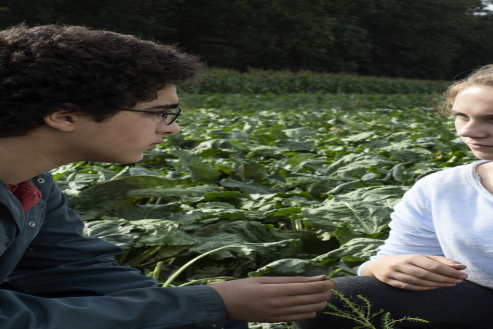 Ahmed (Idir Ben Addi) blir skickad till en bondgård för rehabilitering, där han lär känna dottern i familjen (Victoria Bluck). Pressbild.