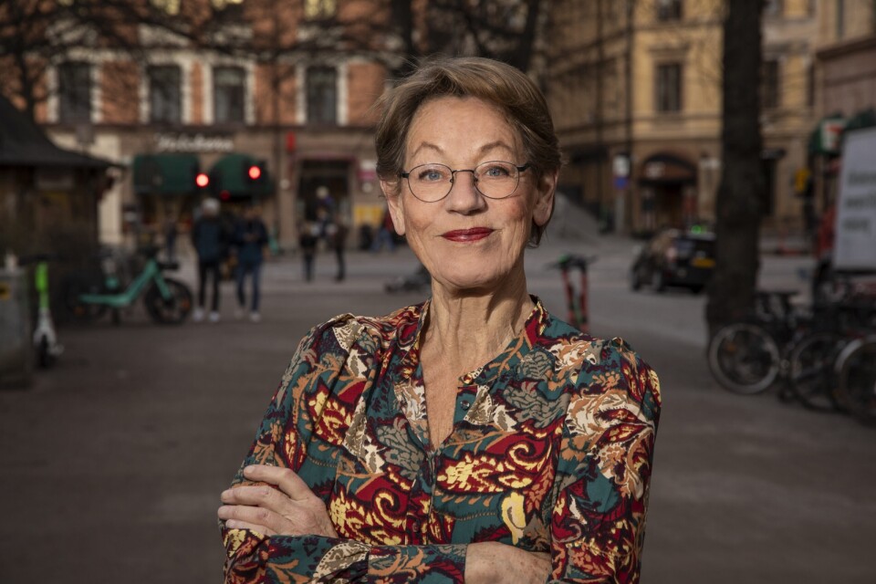 Gudrun Schyman, mormor och talesperson för Klimatalliansen.