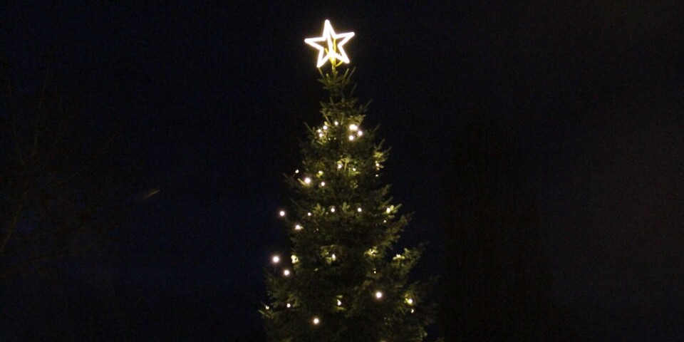 Julgran från Sloalycke lyser upp Allfargatan