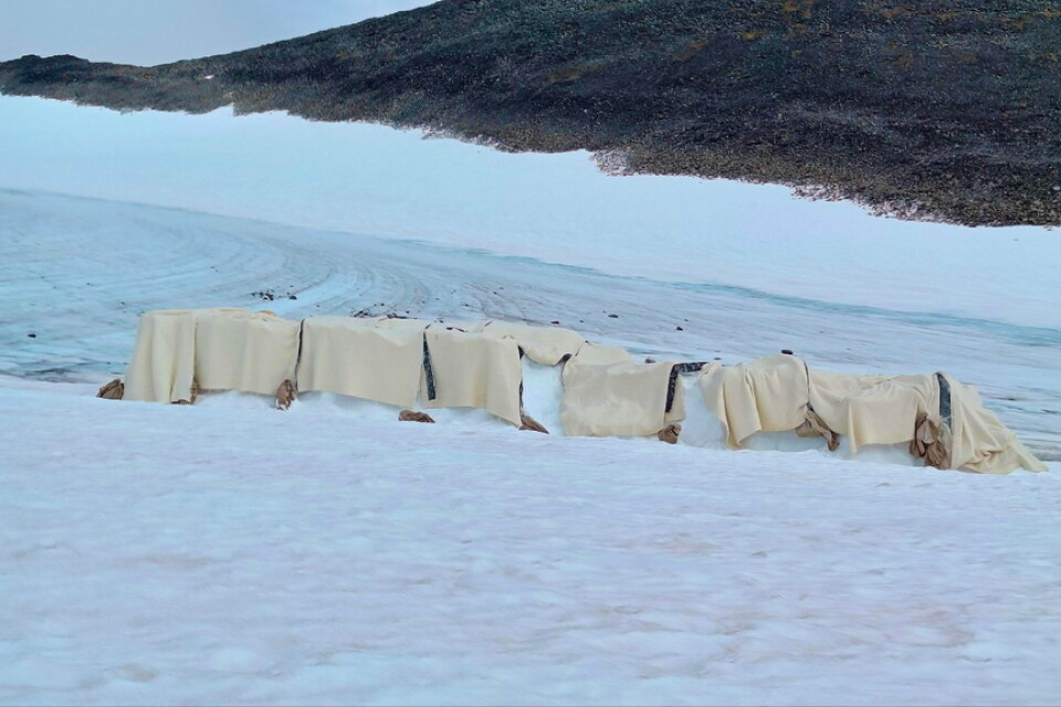 Filtarna på Björlings glaciär vid Kebnekaisemassivets sydöstra sida. Hittills har de bromsat cirka 1,5 meters avsmältning.