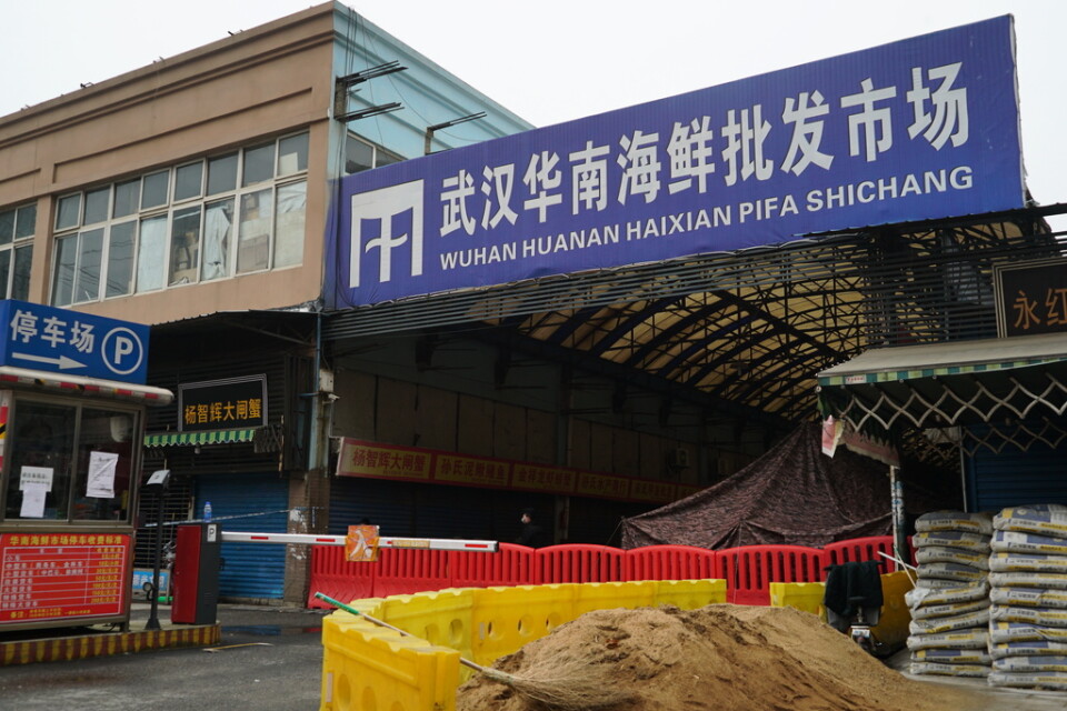 Huananmarknaden stängde den 1 januari sedan flera människor med koppling till marknaden insjuknat i ett virus som har liknats med sars.