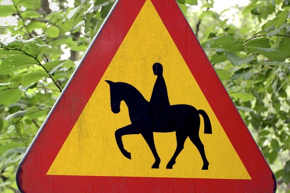 Trafikverket varnar för lösspringande hästar på  E 22.
