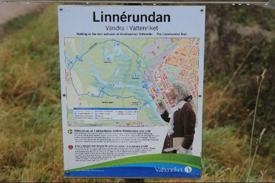 Linnérundan är unik med sitt centrumnära läge.