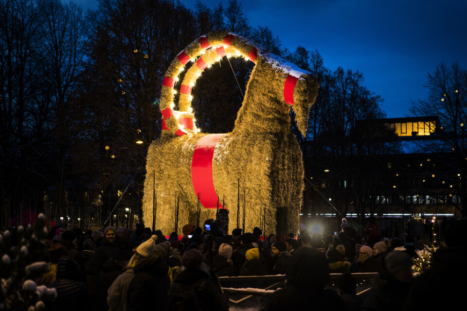 Den stora julbocken i Gävle invigdes på söndagen.