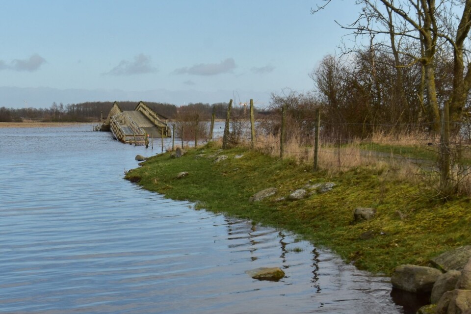 Översvämningen vid Lillö igår Söndag. Bild: Peter Andersson