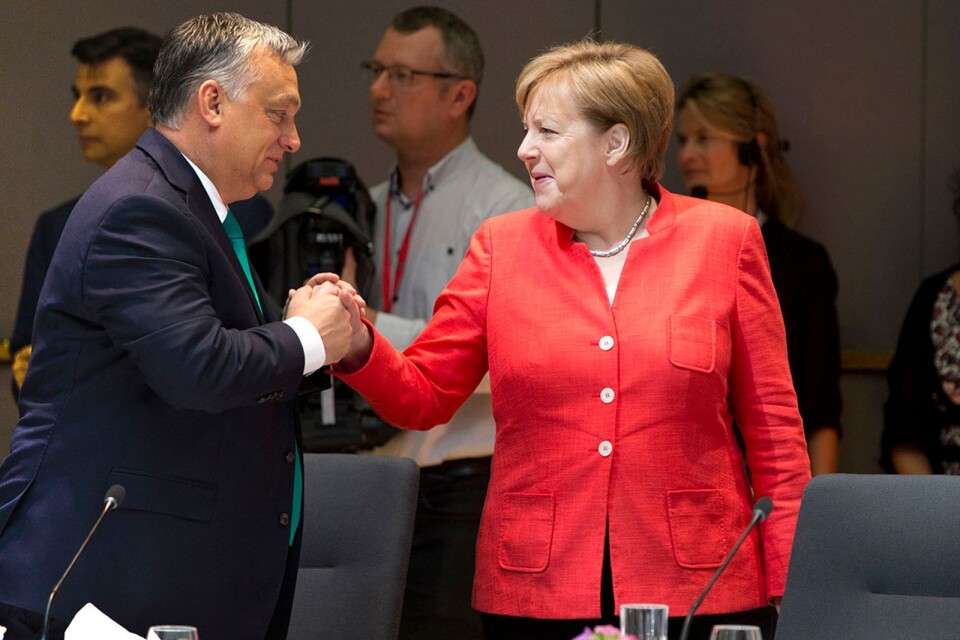 En bild från EU-toppmötet i Bryssel under fredagsmorgonen då Tysklands förbundskansler Angela Merkel skakade en kamratlig (?) hand med Ungerns premiärminister Viktor Orban.