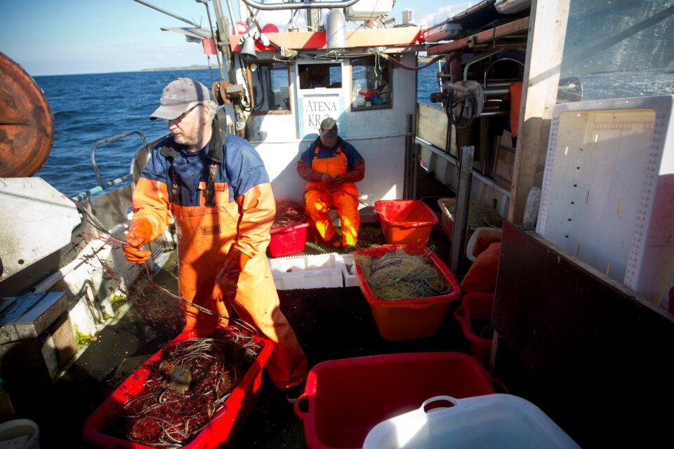 ”Sverige behöver en fungerande havsmiljö- och fiskeripolitik som levererar resultat.” Dagens debattör efterlyser krafttag från regeringen, både för att rädda Östersjön och för att ge yrkesfiskarna en möjlighet att överleva.