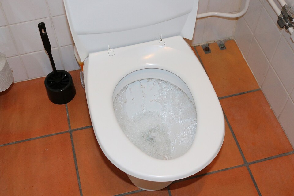 Borgholms kommun kommer inte att spola tre toaletter, vilket tidigare aviserats.