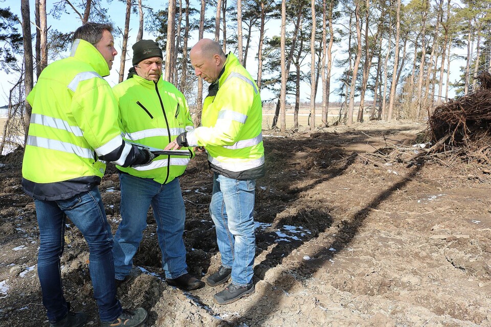 Peter Asteberg, projektledare för vattenverket, går igenom vilka träd som skall fällas där vattenverket skall byggas med Roland Nanberg och Anders Hedlund som är arbetsledare inom Mörbylånga kommun.