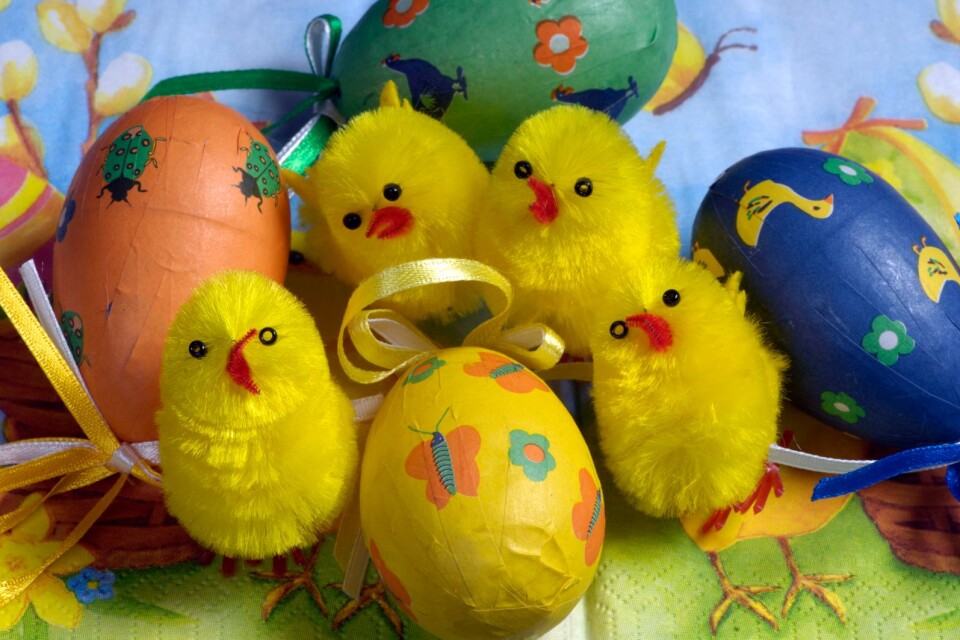 Till påsken pyntar vi med små kycklingar och målade påskägg.