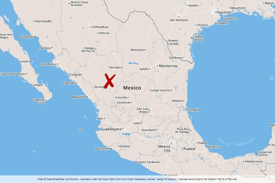 Ett flygplan har kraschat i delstaten Durango i centrala Mexiko, rapporterar mexikanska medier. Tv-bilder visar stjärtpartiet av ett plan med rök från nedslagsplatsen. Enligt redaktionen Milenio har en del överlevande kunnat ta sig till en motorväg i nä