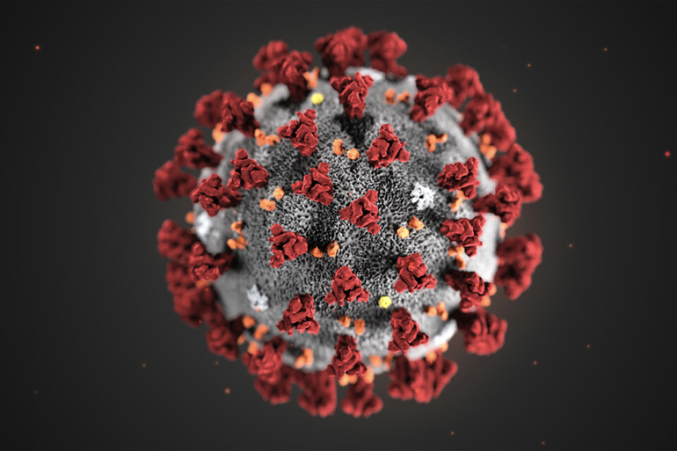 Ett utbrott av coronaviruset har konstaterats vid Övertorneå hälsocentral. Arkivbild.