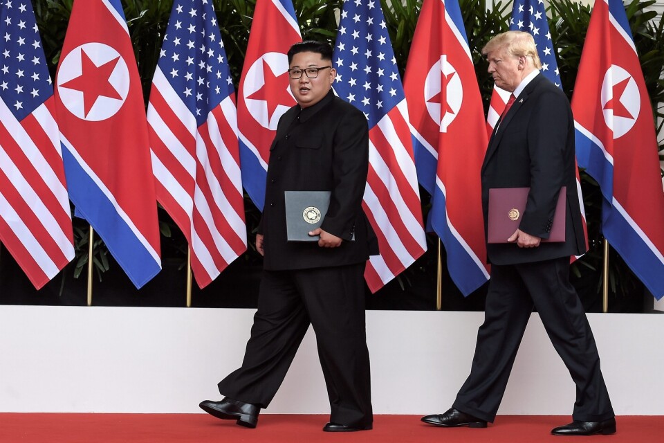 Kim Jong-un och Trump enades om ett uttalande.         Foto: TT