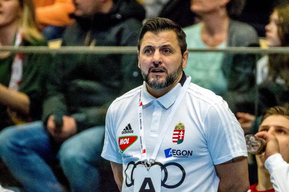 Ungerns förbundskapten Ljubomir Vranjes under landskampen i handboll mellan Sverige och Ungern på Partille Arena.