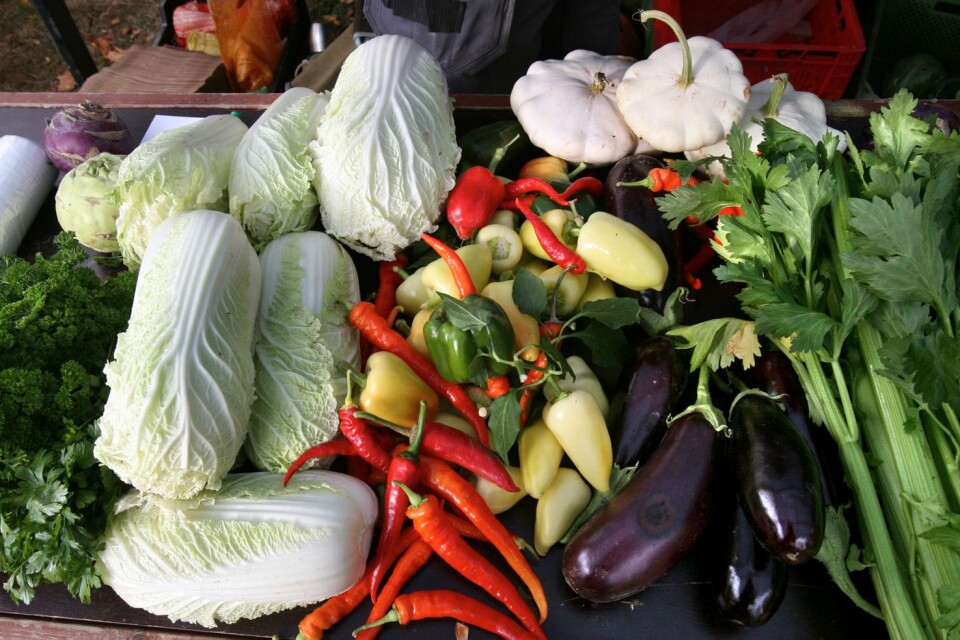 الطعام والخضراوات تباع في الساحة الصغرى في ٦ يوليو، و٣ أغسطس.